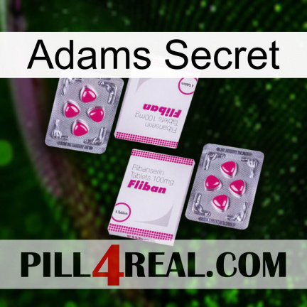 Adams Secret 33